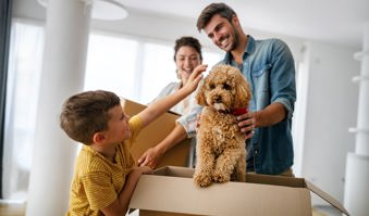 How A Home & Pet Insurance Will Help You Protect Your Home (& Furry Friends)! - Gargash Insurance 