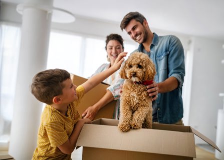 How A Home & Pet Insurance Will Help You Protect Your Home (& Furry Friends)! - Gargash Insurance 