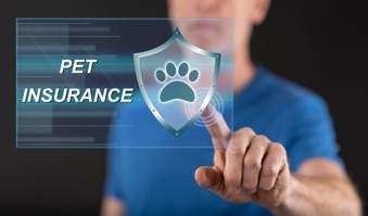 Choosing the right pet insurance plan- pet insurance brokers- Gargash Insurance- UAE