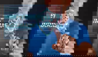 Choosing the right pet insurance plan- pet insurance brokers- Gargash Insurance- UAE