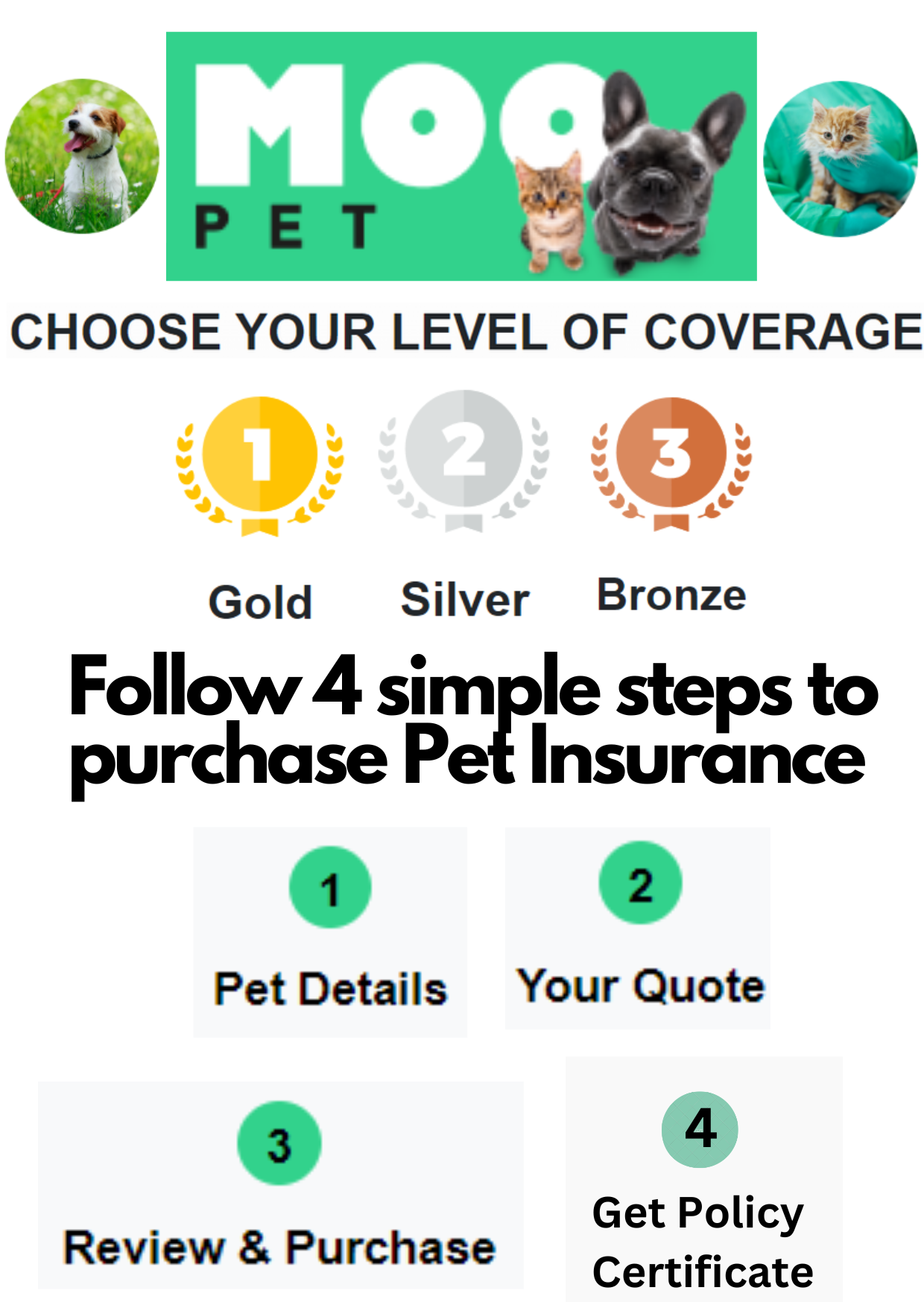 Moo Pet by Alliance Insurance - Gargash Insurance 