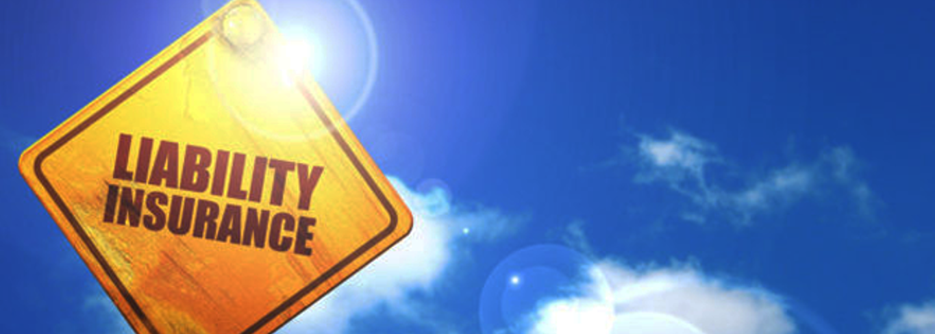 Directors & Officers Liability Insurance Directors & Officers Liability Insurance