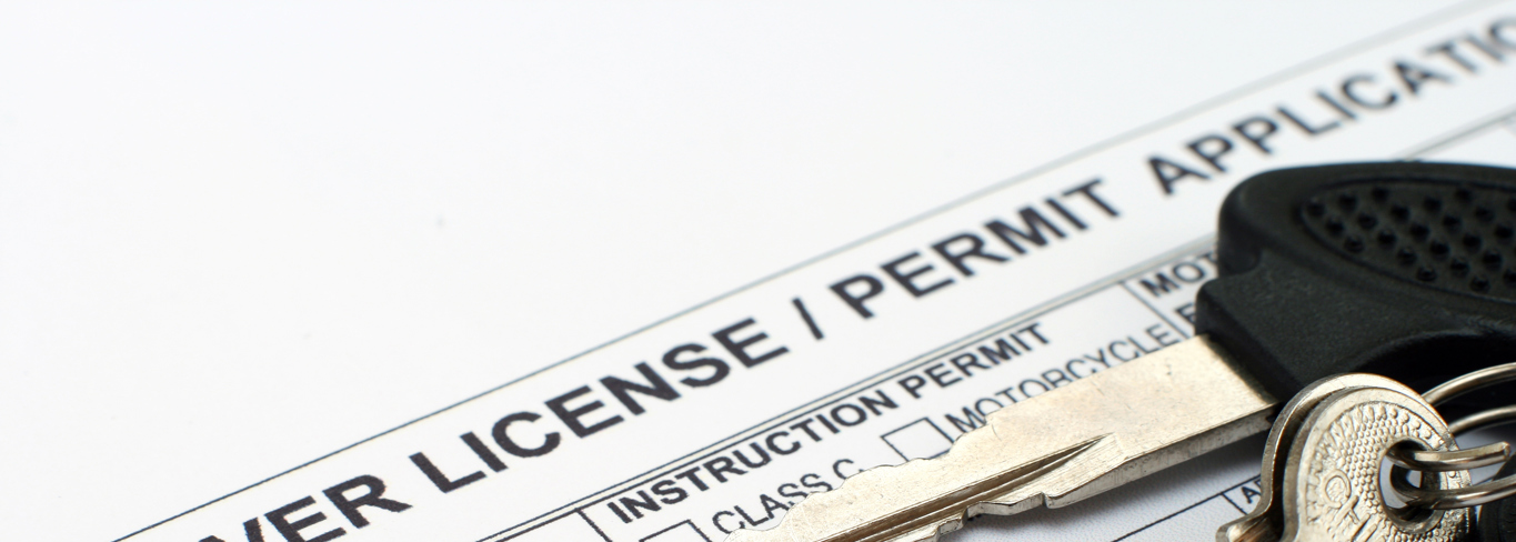 The Procedure for Expats to Apply for a Driving License in the UAE The Procedure for Expats to Apply for a Driving License in the UAE