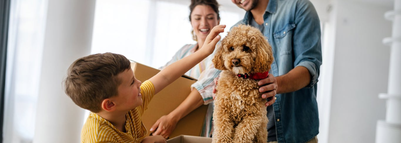 How A Home & Pet Insurance Will Help You Protect Your Home (& Furry Friends)! - Gargash Insurance 