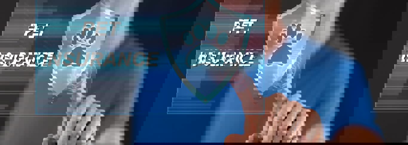 Choosing the right pet insurance plan- pet insurance brokers- Gargash Insurance- UAE Choosing the right pet insurance plan- pet insurance brokers- Gargash Insurance- UAE